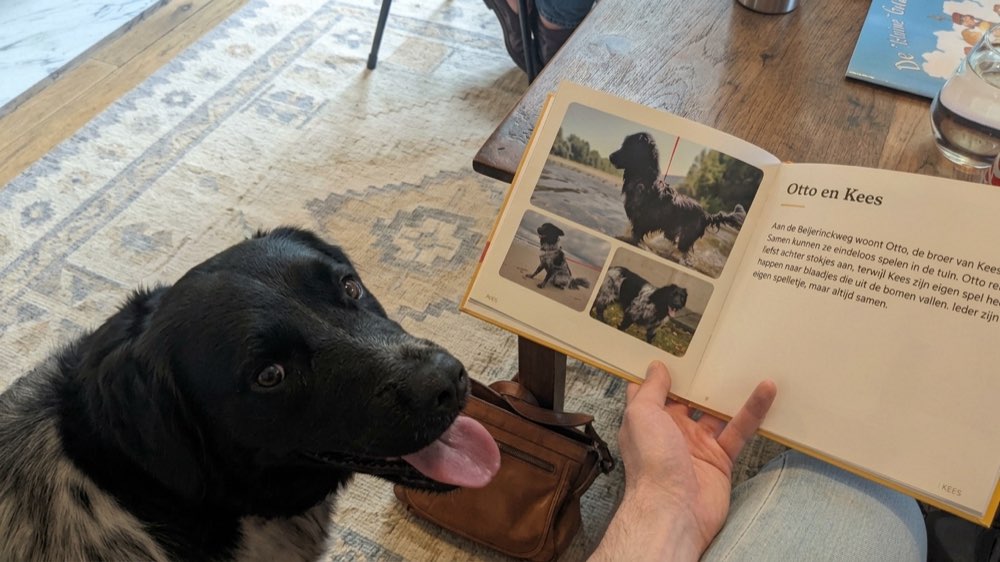 Otto kijkt op van het opengeslagen gedrukte boek over Kees, op de pagina over Otto en Kees.